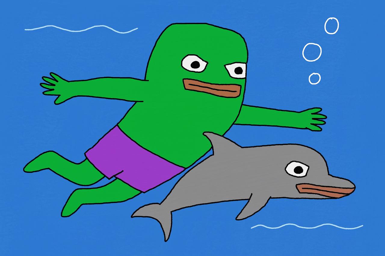 Skybadger-s swimming-with-dolphin