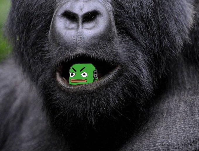 Harambe HENZ UP