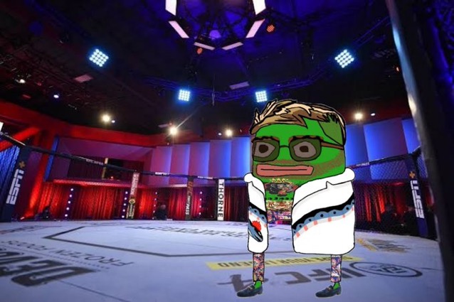 Conor McGregor in the Ring