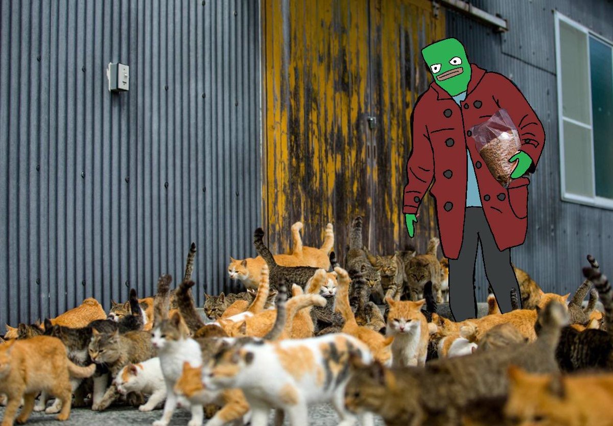 Cat Lady