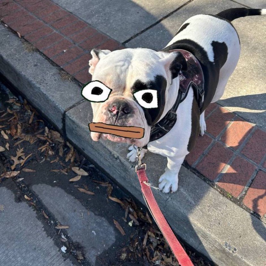 Daumen Dog