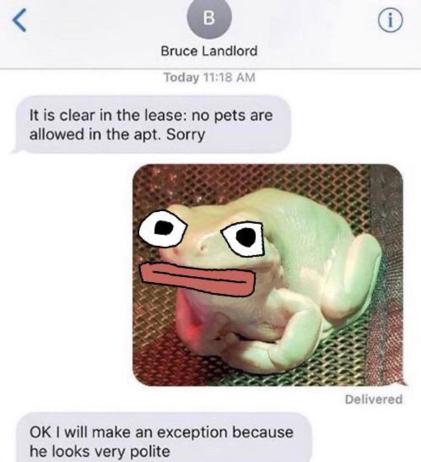 No pets allowed